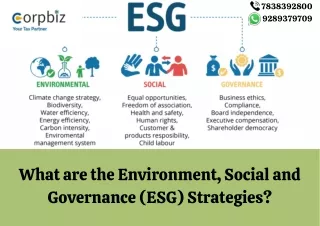 What are the Environment, Social and Governance (ESG) Strategies?