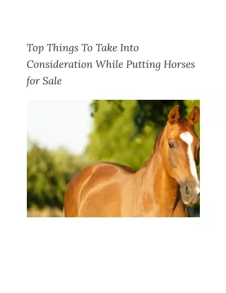 Top Things To Take Into Consideration While Putting Horses for Sale