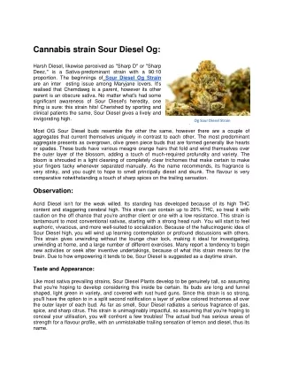 Cannabis strain Sour Diesel Og