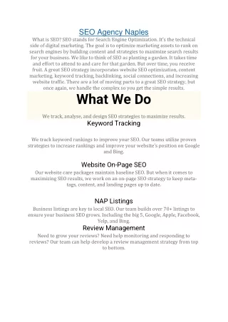 SEO Agency Naples