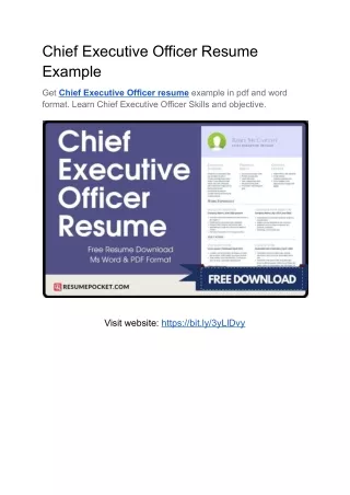 Chief Executive Officer Resume Example