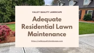 Adequate Residential Lawn Maintenance