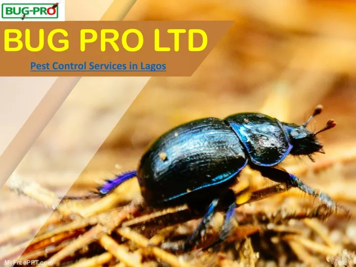 bug pro ltd