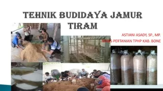 astiani asady sp mp dinas pertanian tphp kab bone