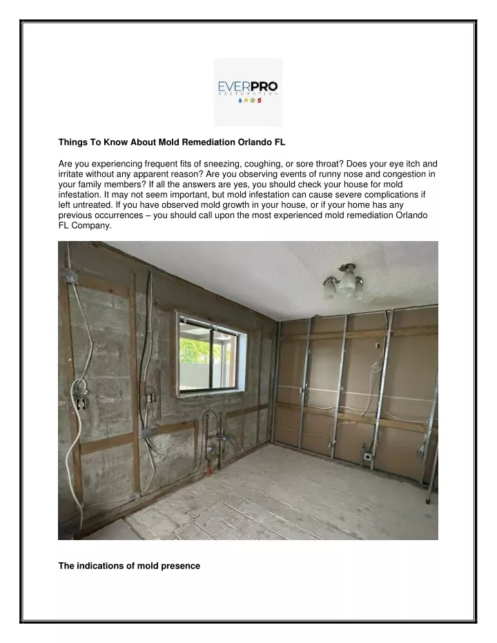 things to know about mold remediation orlando