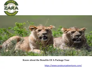 Know about the Benefits Of A Package Tour