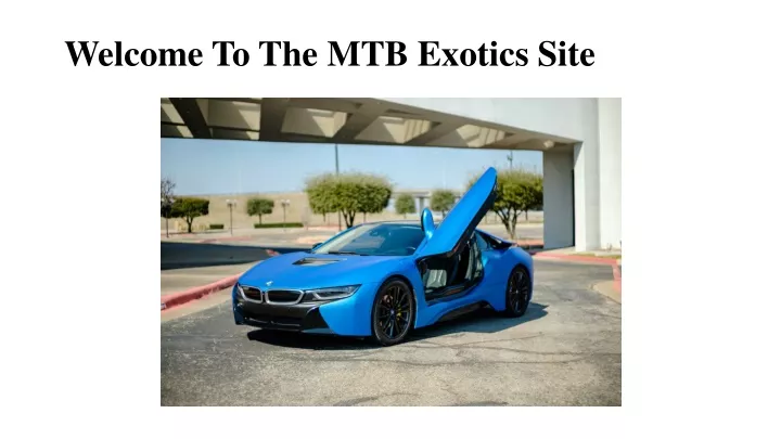 welcome to the mtb exotics site