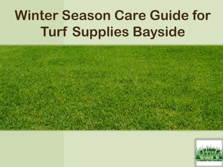 winter season care guide for turf supplies bayside
