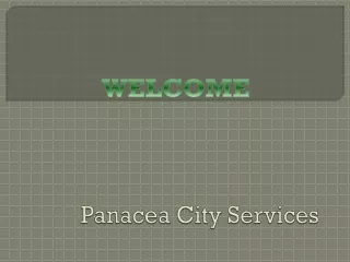 panacea city services