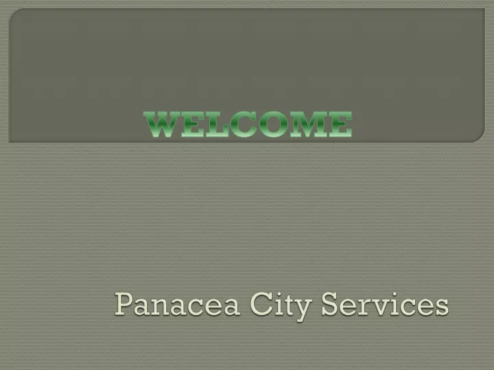 panacea city services