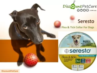 Seresto Flea & Tick Collar for Dogs | DiscountPetCare