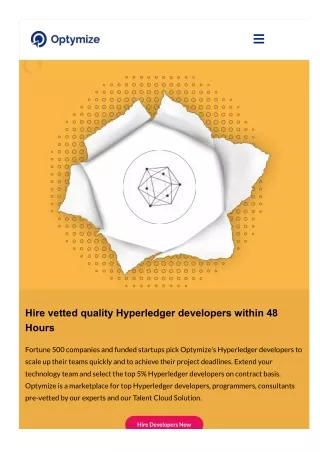 Hire vetted quality Hyperledger developers within 48 Hours
