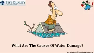 What Are The Causes Of Water Damage?