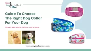Guide To Choose The Right Dog Collar For Your Dog