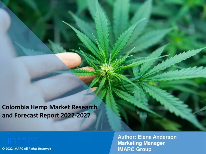 colombia hemp market research and forecast report