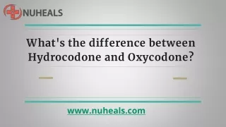 What's the difference between hydrocodone and oxycodone