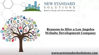 Reasons to Hire a Los Angeles Website Development Company