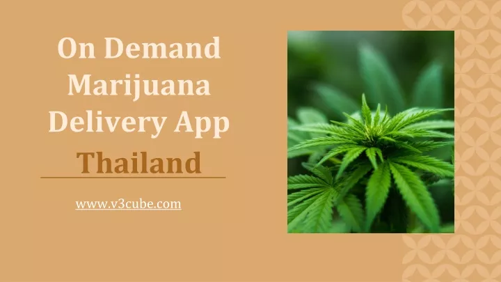 on demand marijuana delivery app thailand