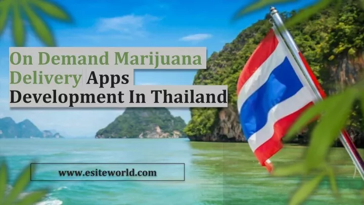on demand marijuana delivery apps development in thailand