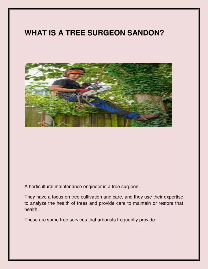 what is a tree surgeon sandon