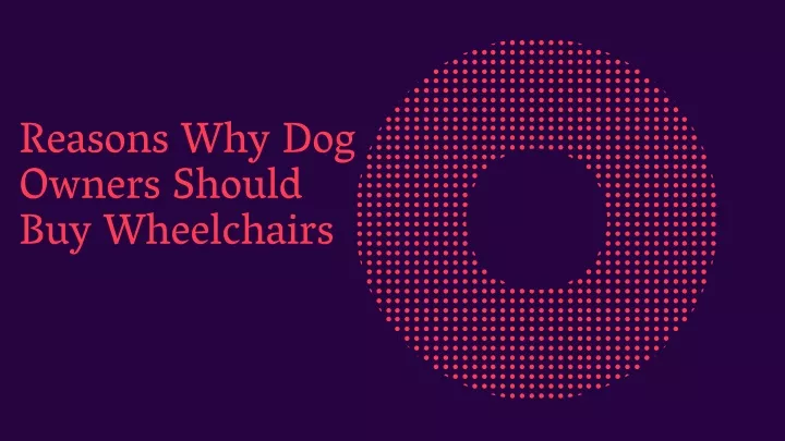 reasons why dog owners should buy wheelchairs
