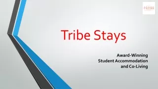 Pune Hostel For Boys and Girls | Tribe Stays