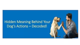 hidden meaning behind your dog s actions decoded