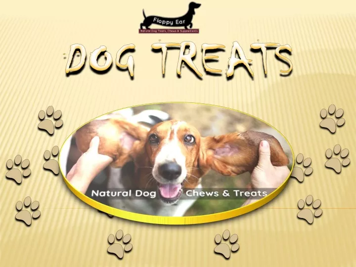 dog treats