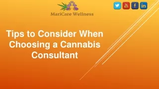 Tips to Choose Cannabis Consultant
