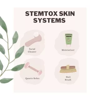 stemtox skin systems