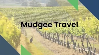 Best details for your Mudgee Holidays