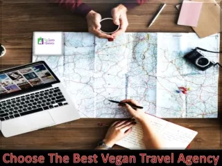 Choose The Best Vegan Travel Agency