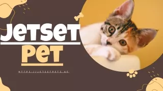 jetset pet