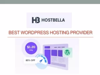 Best Wordpress Hosting Provider