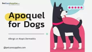 Buy Apoquel for Dogs Online: Cheapest Price at PetCareSupplies