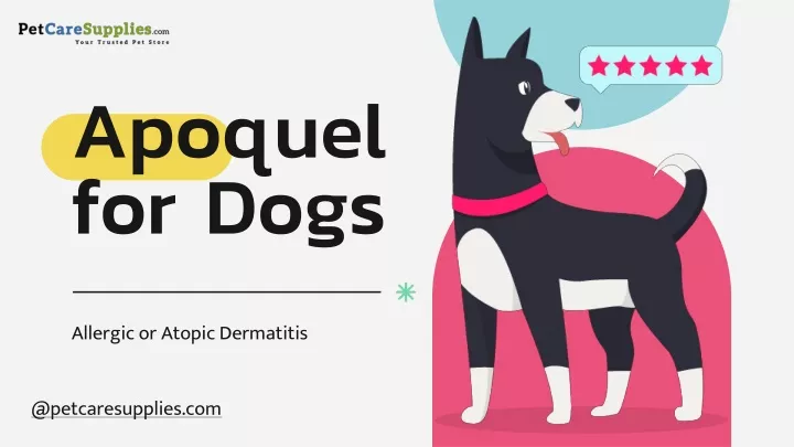 apoquel for dogs