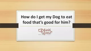 How do I get my Dog to eat food that’s good for him