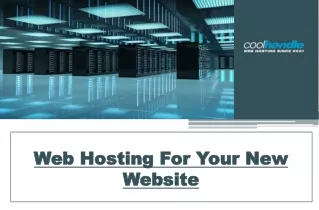 web Hosting Plan for your new website