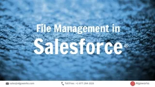 Algoworks Solutions Inc: File Management in Salesforce