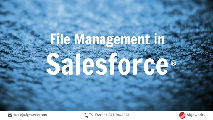 file management in salesforce