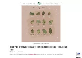 WHAT TYPE OF STRAIN SHOULD YOU SMOKE ACCORDING TO YOUR ZODIAC SIGN?
