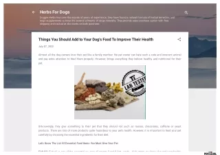 Things You Should Add to Your Dog's Food To Improve Their Health