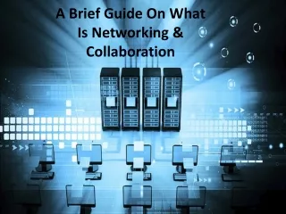 A Brief Guide On What Is Networking & Collaboration