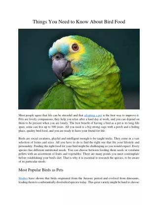 things you need to know about bird food