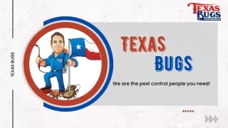 texas bugs