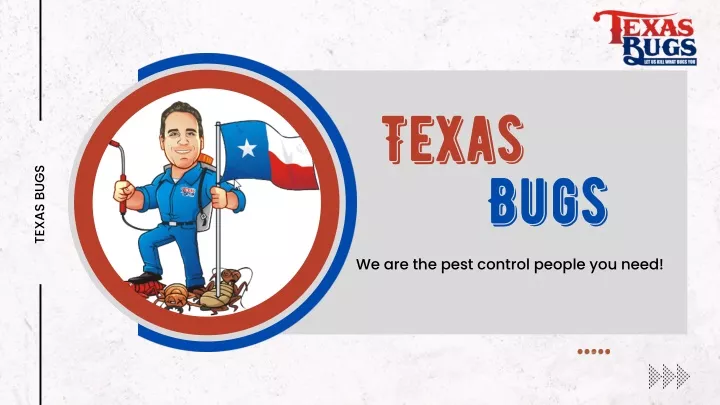 texas bugs