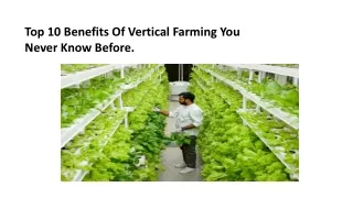 Top 10 Benefits Of Vertical Farming You Never Know Before.