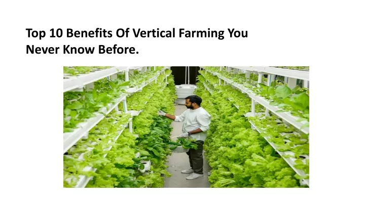 top 10 benefits of vertical farming you never
