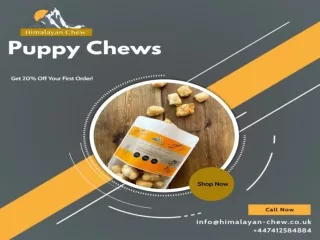 Puppy Chews