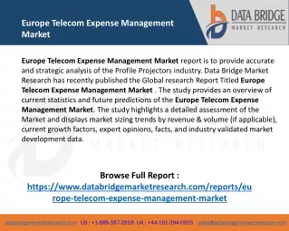 europe telecom expense management market